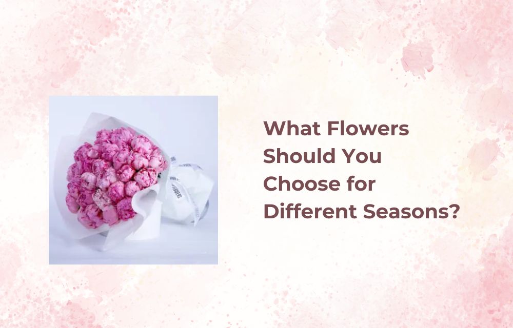 What Flowers Should You Choose for Different Seasons